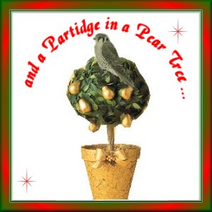 xmas picture